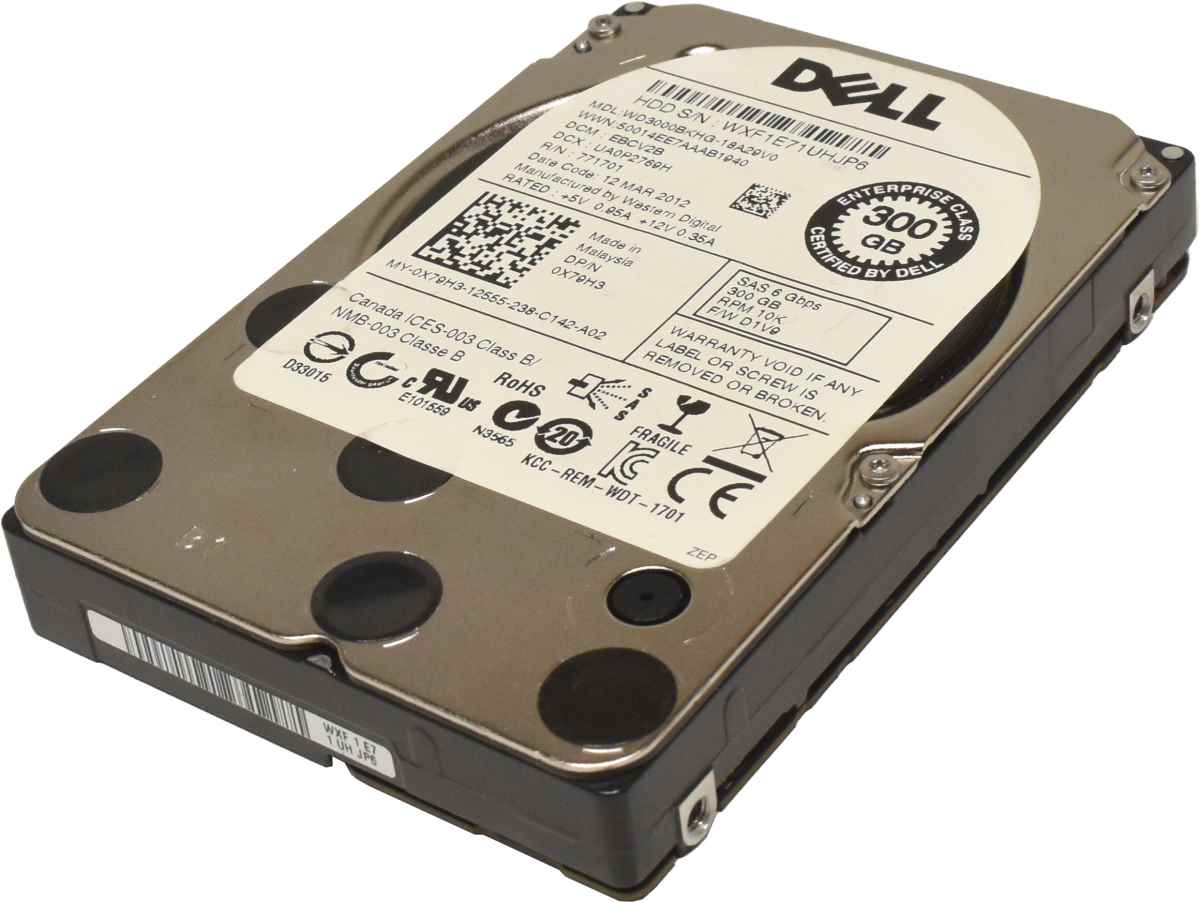 Dell 300GB 2.5" 6G 10K SAS HDD Festplatte WD3000BKHG-18A29V0 0X79H3