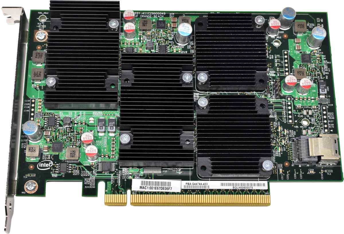 Intel 411C29900049 LHP Orange Beach SSL Card for McAfee NS9100 NS9200 NS9300