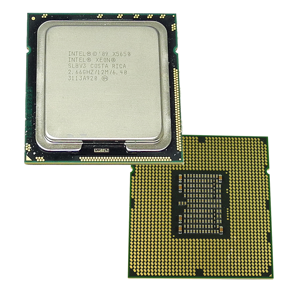 Intel Xeon Processor X5650 12MB Cache, 2.66 GHz Six Core FC LGA 1366 P/N SLBV3 50 x Intel Xeon Processor X5650 12MB Cache, 2.66 GHz Six Core FC LGA 1366 P/N SLBV3